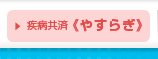 疾病共済≪やすらぎ≫