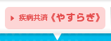 疾病共済≪やすらぎ≫