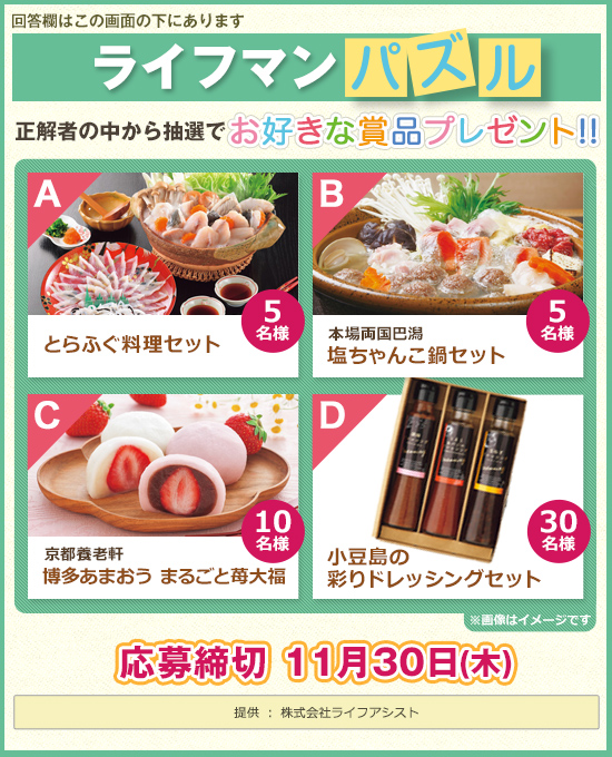 ライフマンパズル