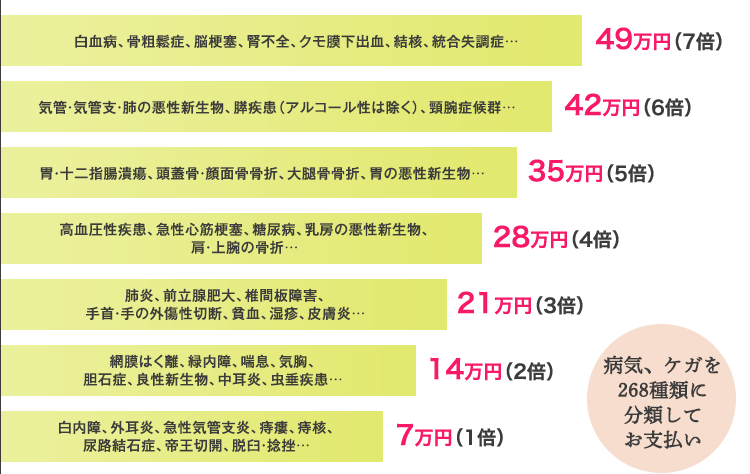 病気、ケガを268種類に分類してお支払い