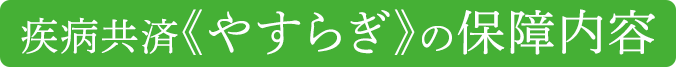 疾病共済《やすらぎ》の保障内容